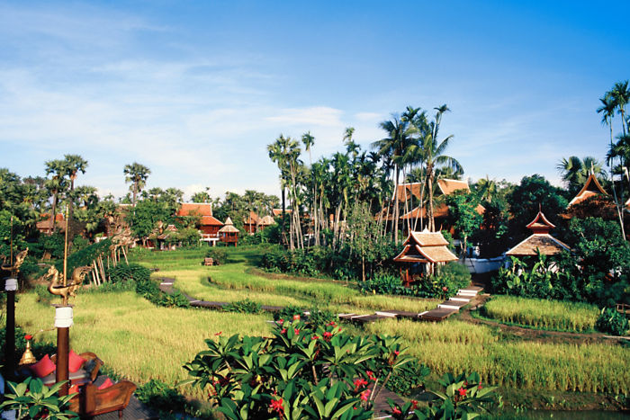 chiang-mai-exterior-north-rice-fields-1[1]