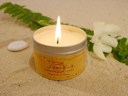 Photo credit: Starfishoils.com