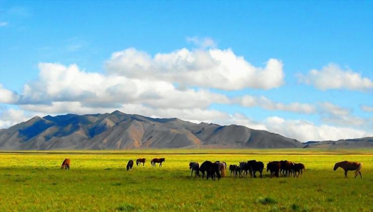 Photo credit: pixdause.com