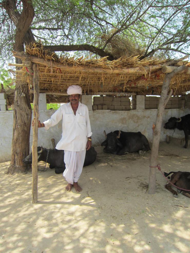 Bishnoi Village